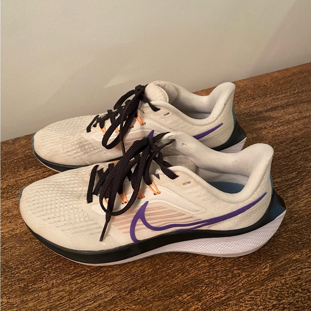 Nike Pegasus 39 shoes